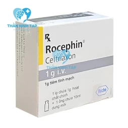 Rocephin 1g I.V - Thuốc phòng và điều trị nhiễm trùng