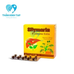 Silymarin B-complex Extra - Giúp tăng cường chức năng gan