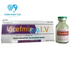 Vicefmix - Thuốc điều trị nhiễm khuẩn hiệu quả