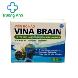 Viên bổ não Vina Brain - Giúp hoạt huyết, tăng cường tuần hoàn não