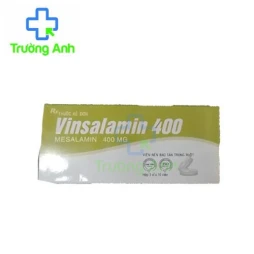 Vinsalamin 400 - Thuốc điều trị viêm loét đại trực tràng