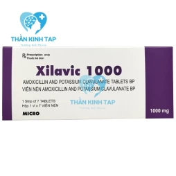 Xilavic 1000 Micro