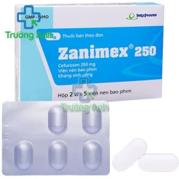 Zanimex 250 - Thuốc điều trị nhiễm khuẩn đường hô hấp hiệu quả