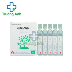 Zentanil 1g - Thuốc điều trị thiểu năng tuần hoàn máu não