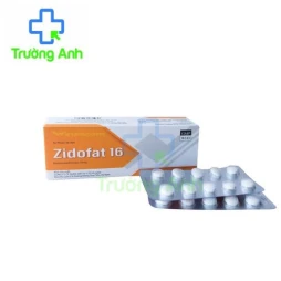 Zidofat 16 - Thuốc chống viêm hiệu quả của Hamedi