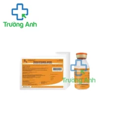 Paracetamol - Bivid - Thuốc giảm đau, hạ sốt